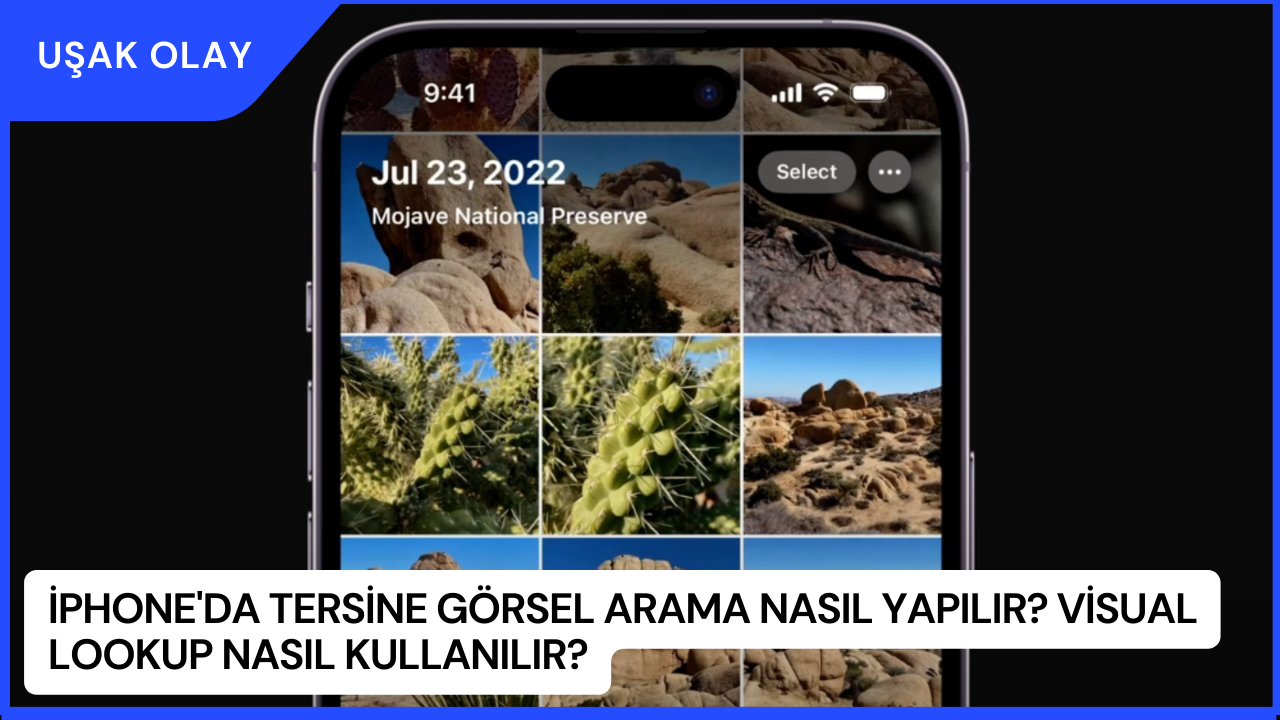 iPhone'da Tersine Görsel Arama Nasıl Yapılır? Visual Lookup Nasıl Kullanılır?