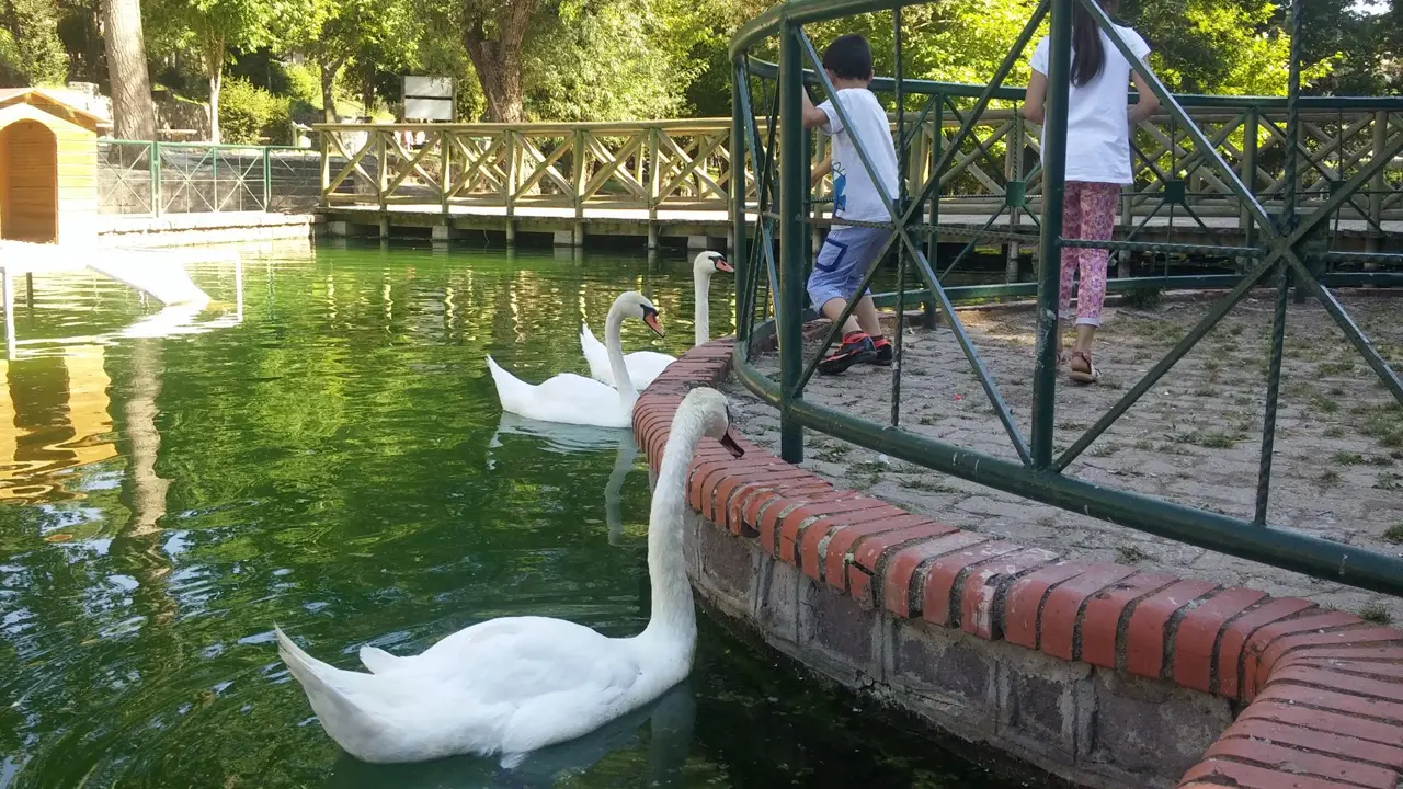 Uşak Huzur Park'a hangi otobüs gider?