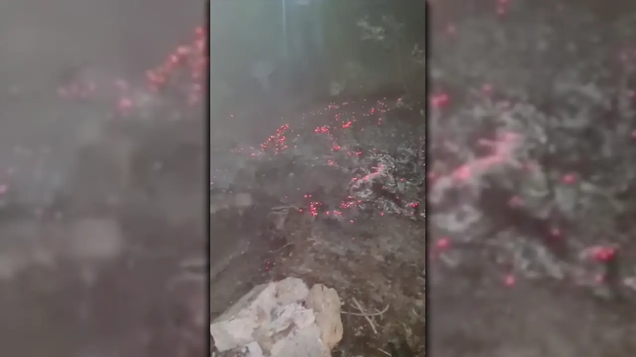 Uşak Facia'dan kıl payı kurtulundu! Magandalar ormanı yakacaklardı