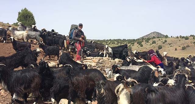 Yörüklerle 26 gün yürüyerek göç yolunu kaydetti