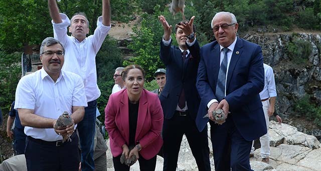 Uşak'ta 2 bin kınalı keklik doğaya salındı