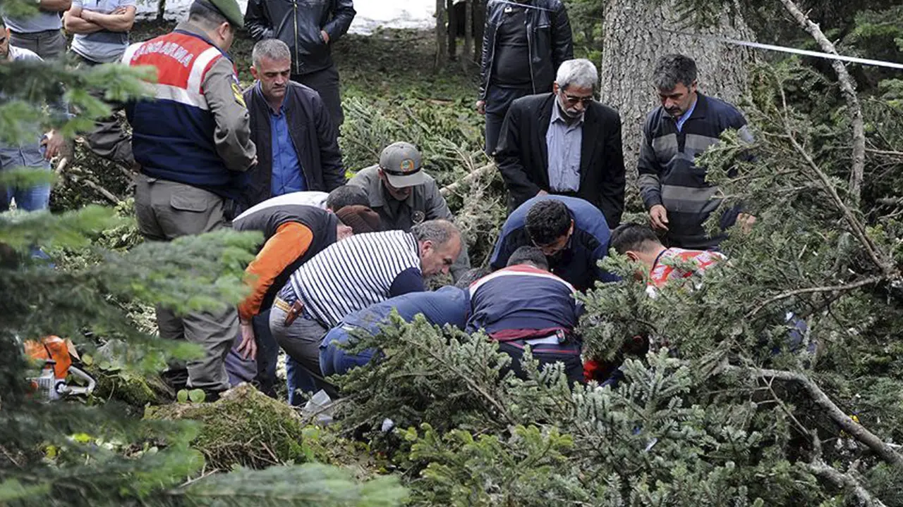 Korkunç Kaza: Kestane Ağacından Düşen İsmail Can Öldü