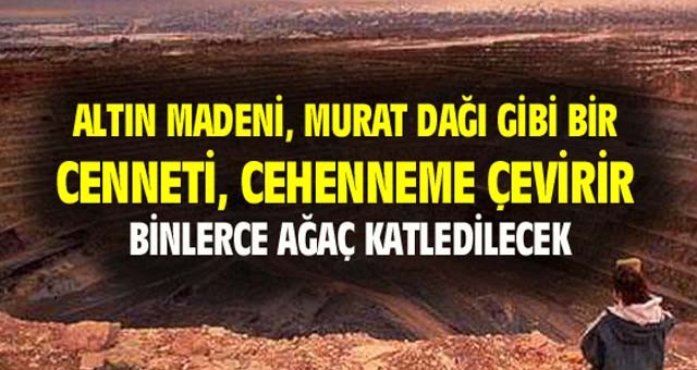 Uşak barosundan 'murat dağı altın madeni' uyarısı