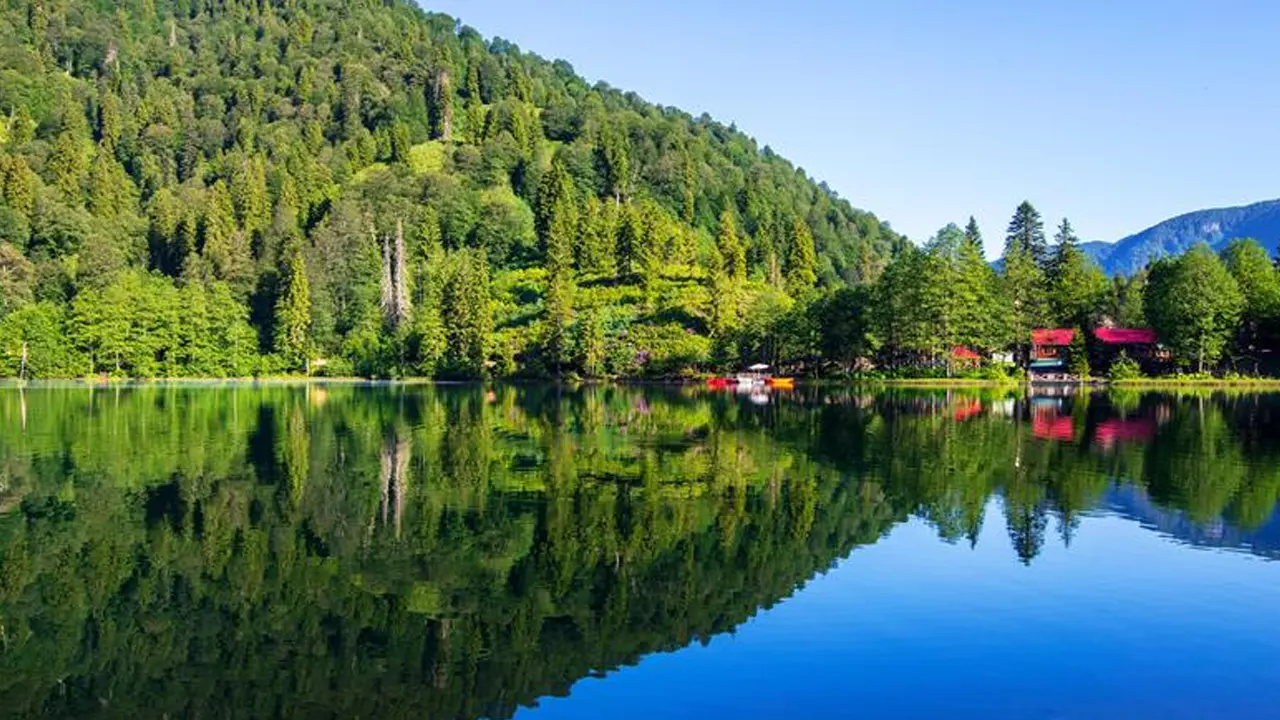 Türkiye’de sadece Artvin’de! Bir kaşık yemek bile vücuttaki mikropları öldürüyor! Yeşil bal faydaları…