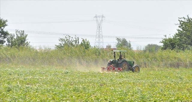 Ege'nin verimli toprakları suyla buluştu