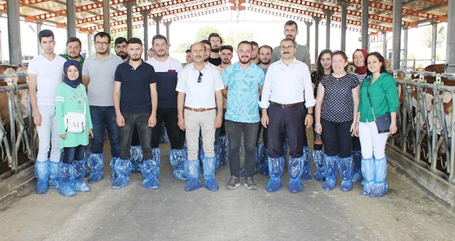 Tarım il müdürlüğünde staj yapan öğrenciler hayvancılık işletmelerini ziyaret etti