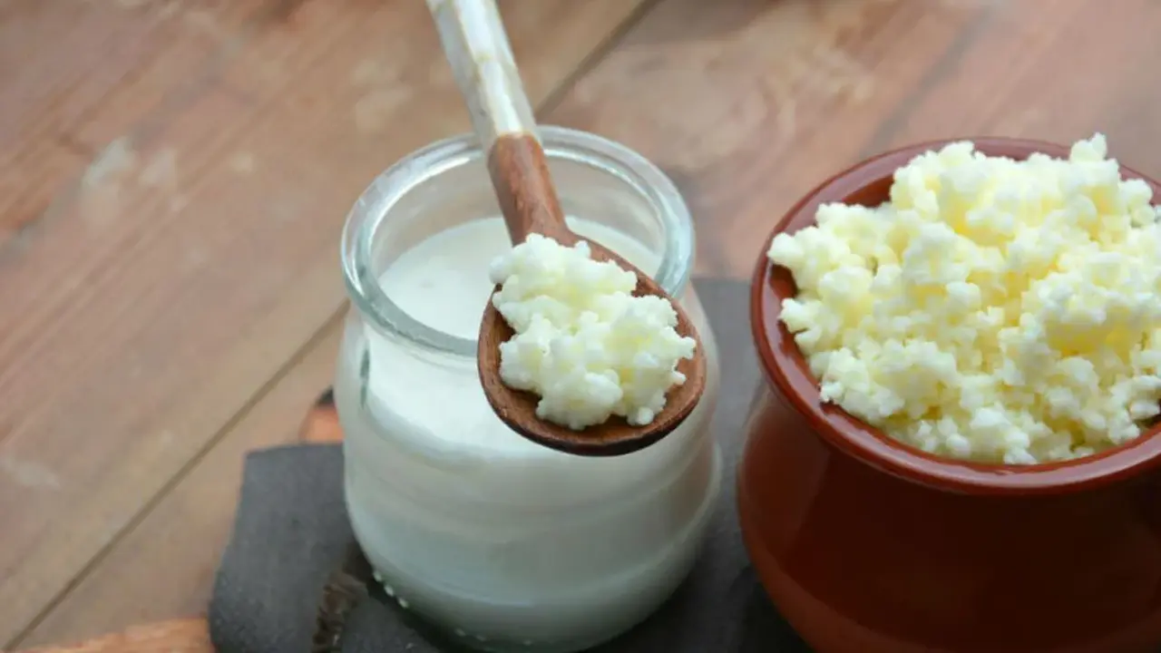 Kefir haram mı Diyanet Fetvası ne diyor?