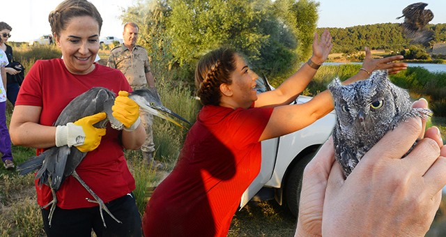 Vali Kocabıyık tedavi edilen kuşları doğaya bıraktı