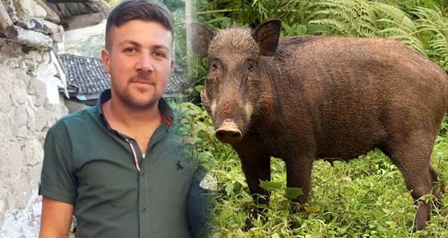 Domuz nöbetinde ağaçtan düşünce tüfeği ateş alan genç öldü