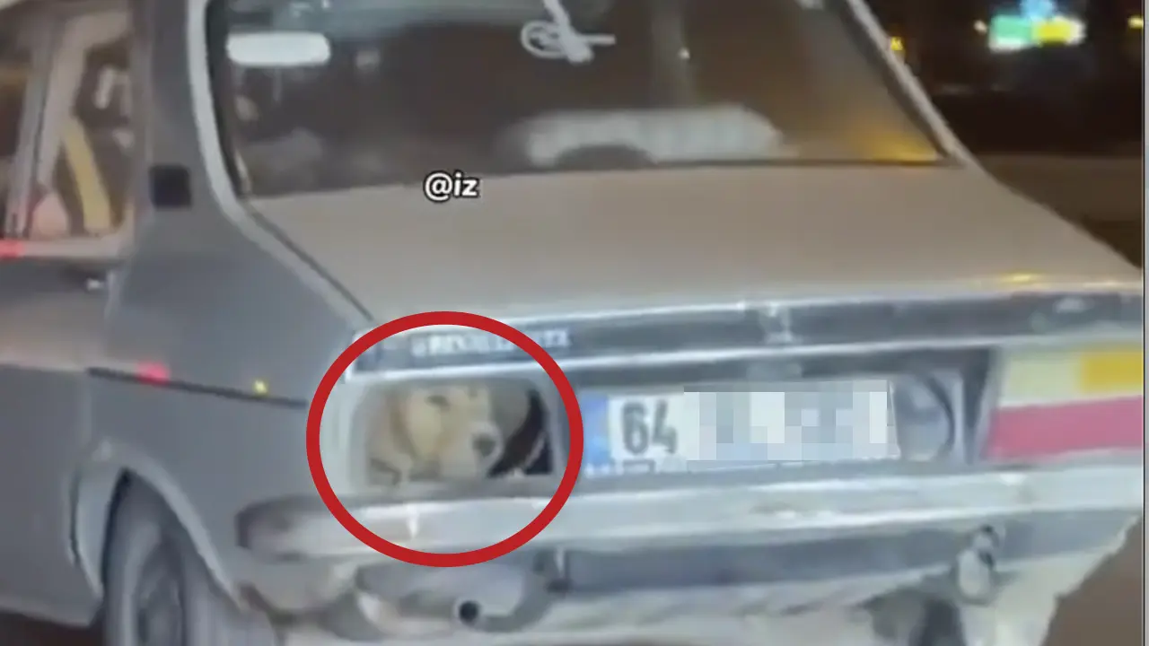 İzmir'de Uşak Plakalı Aracı Görenler Şaşkına Döndü