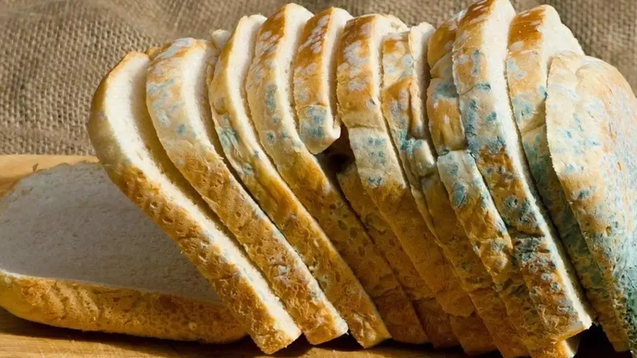 Ekmekleriniz çok çabuk küfleniyorsa bu yöntemi mutlaka deneyin