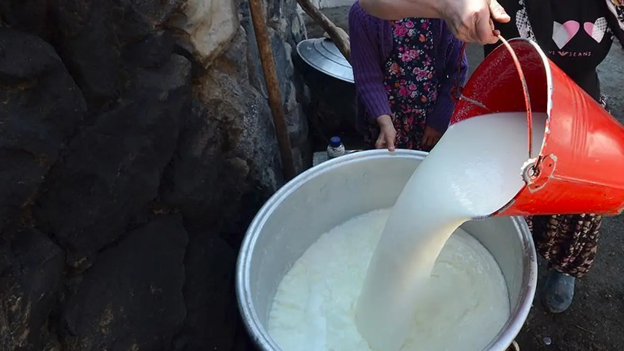 Uşak'ta Çiğ Süt Desteği İcmalleri Askıda! Son Kontrol 24 Kasım!
