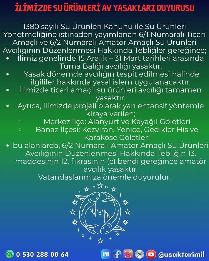 balik-avi