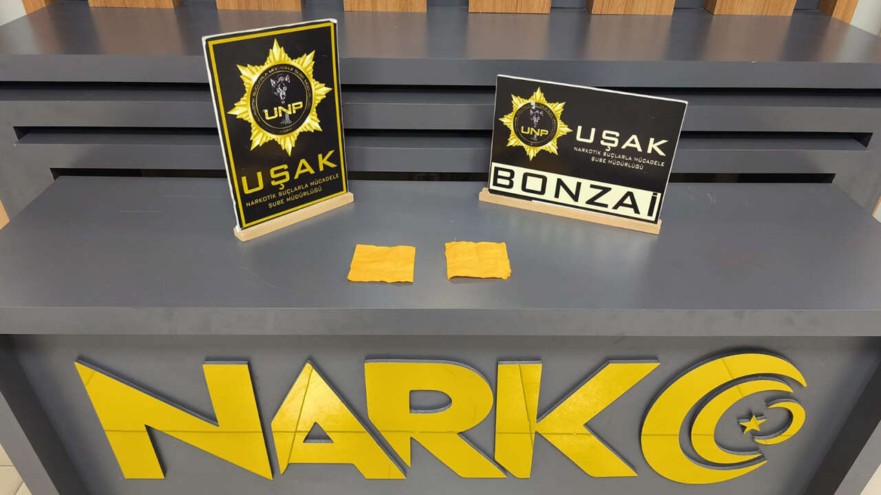usak-sentetik-hap2