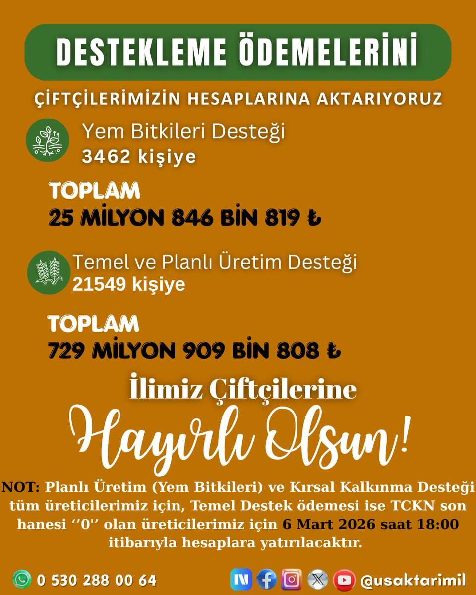 tarim