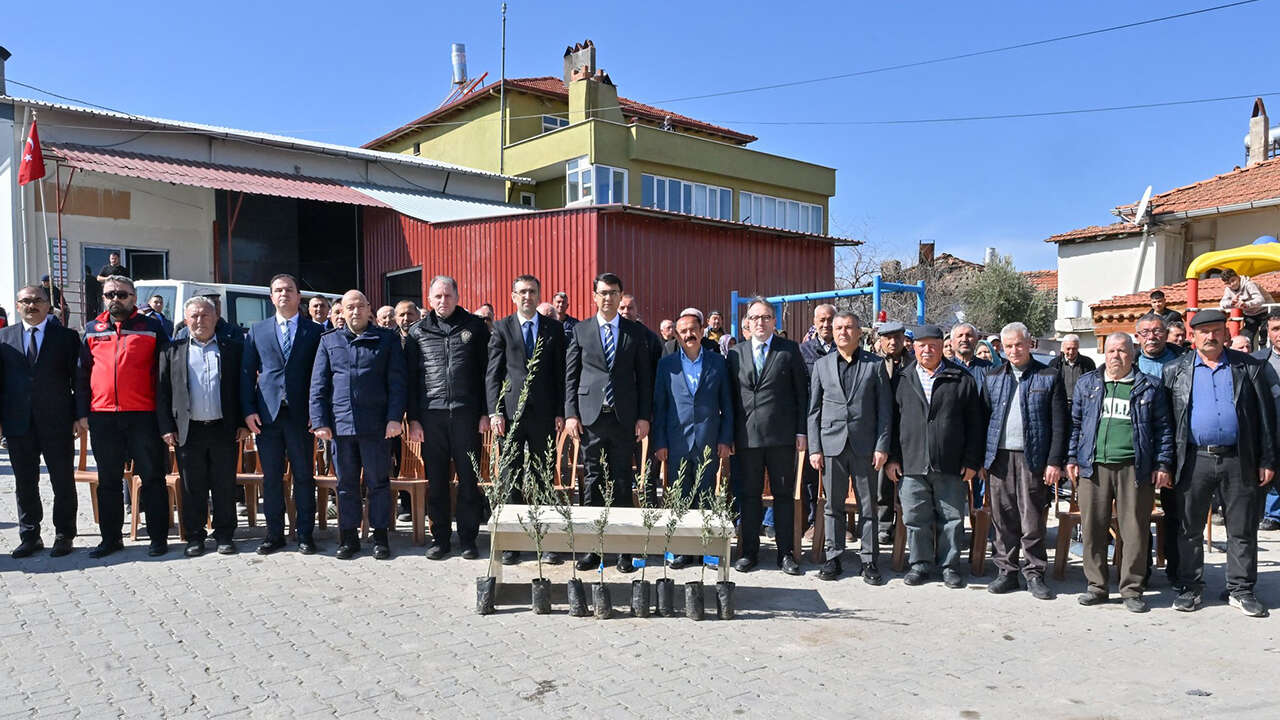 usak-74-bin-zeytin-fidani-dagitim2