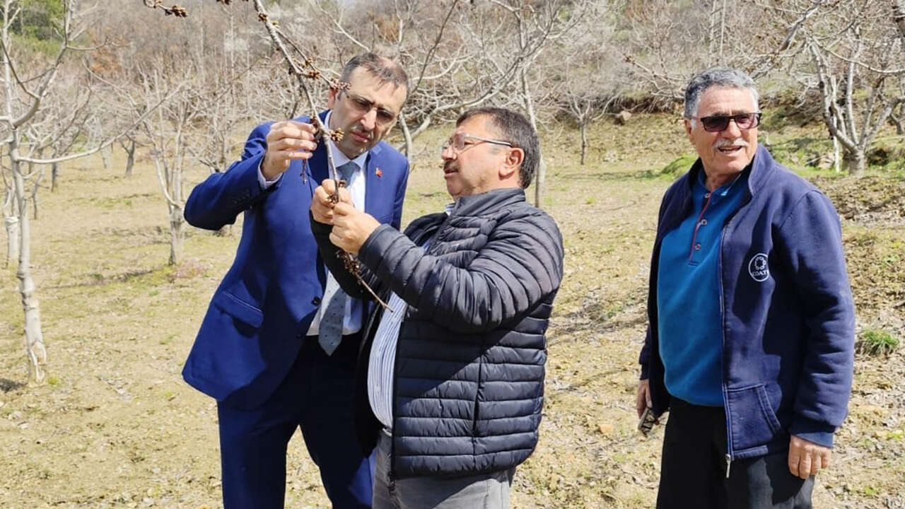 pacacioglu-uretici-ziyaret-tarim3