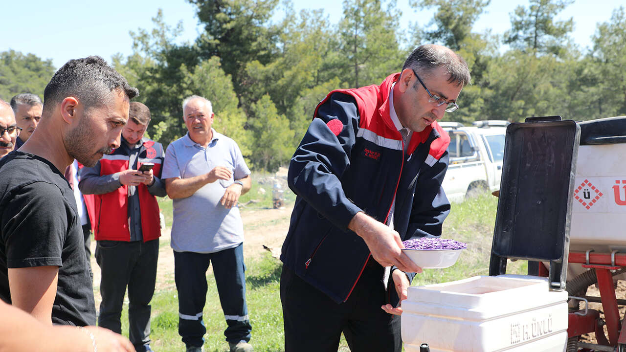 usak-yaglik-aycicegi-tarla-test-asamasi5