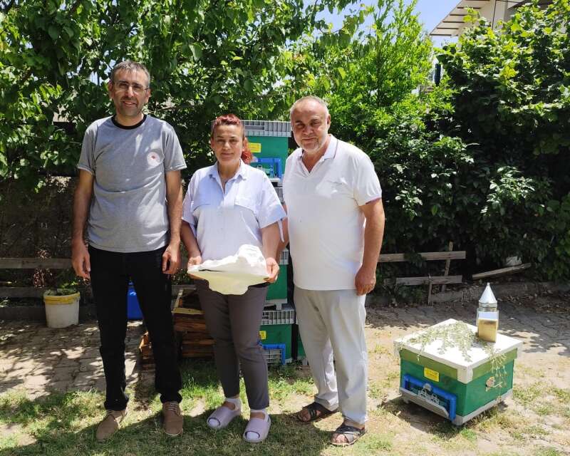 aricilik