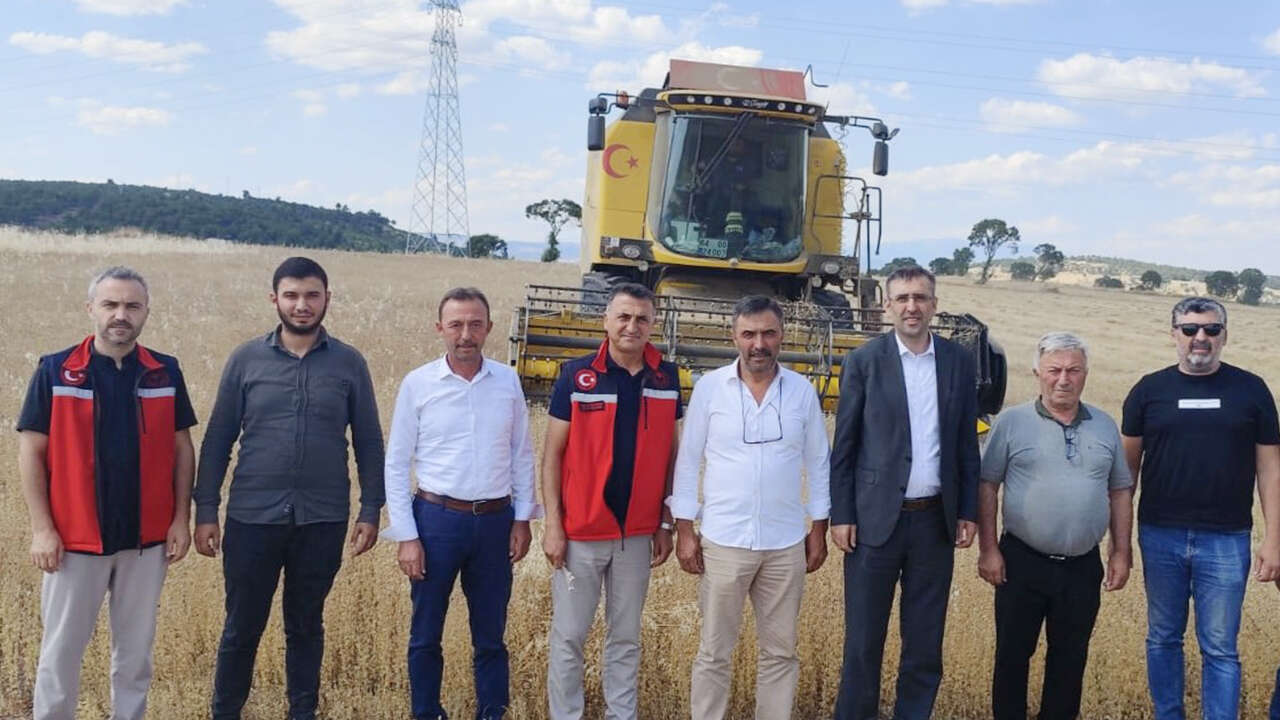 beylerhan-koyu-corek-otu-hasat3